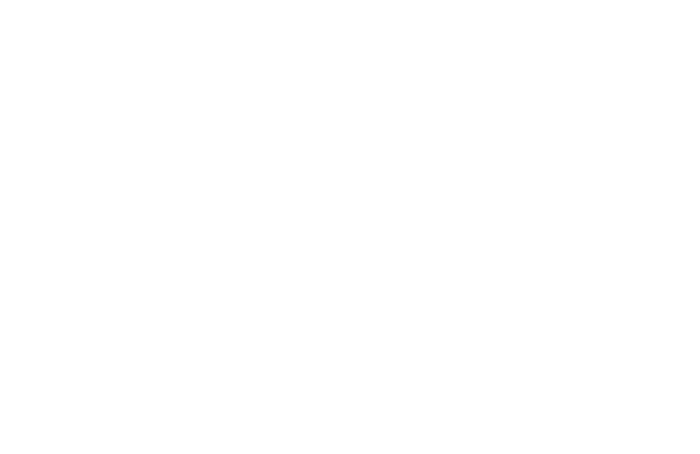 Porsche AG