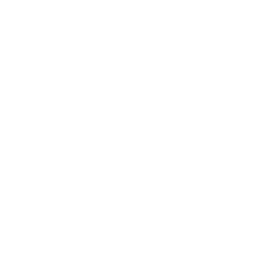 Volkswagen AG